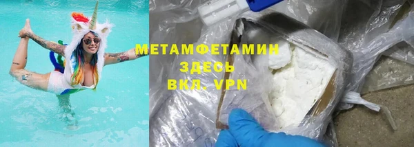 прущие грибы Аркадак