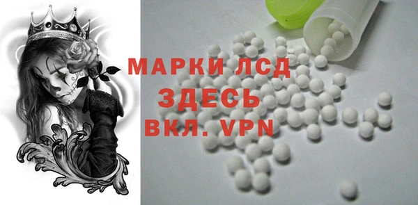 прущие грибы Аркадак