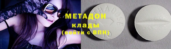 прущие грибы Аркадак
