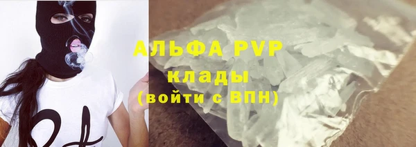 прущие грибы Аркадак