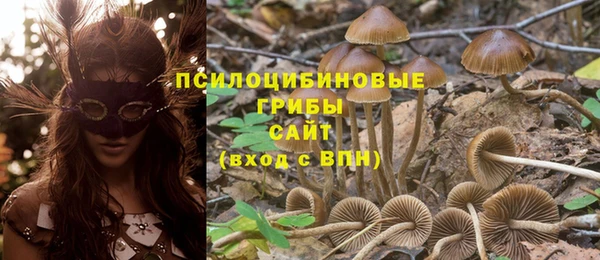 гашиш Арсеньев