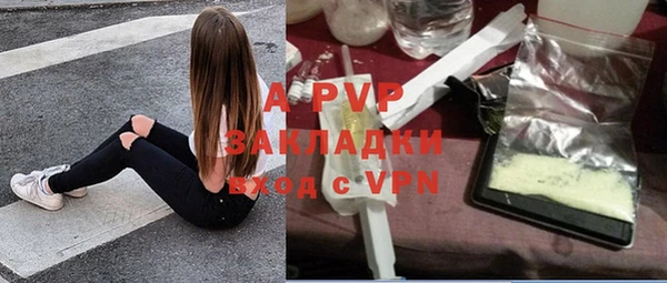 прущие грибы Аркадак