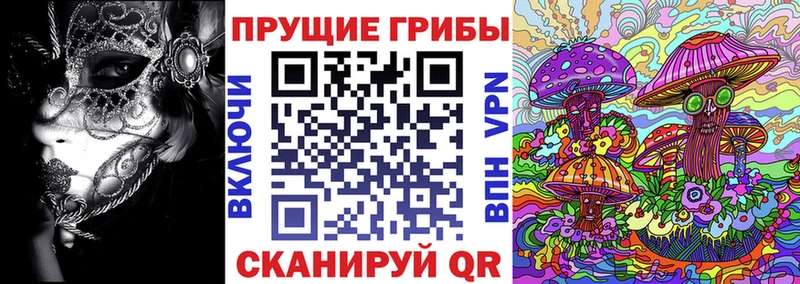 Купить Асино Галлюциногенные грибы Magic Shrooms